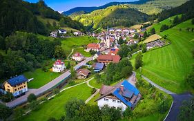 Steepleview House, Schwarzwaldblick Apartment - Spacious & Peaceful